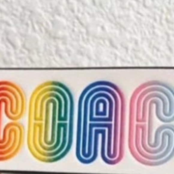 SALE NEW Coach Rainbow Large Leather Loop Wrist Keyring Purse Charm Dog Leash - Picture 12 of 12